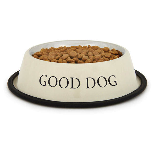 dog food bowl